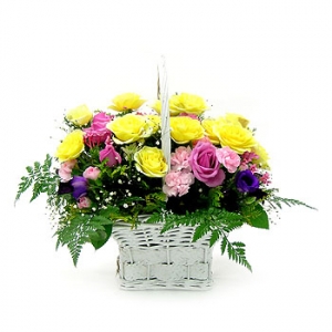 �󼼳��뺸��