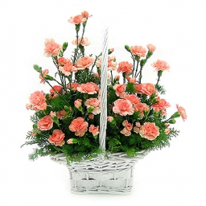 »ó¼¼³»¿ëº¸±â