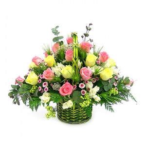 �󼼳��뺸��