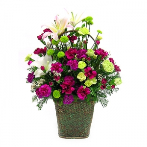 »ó¼¼³»¿ëº¸±â