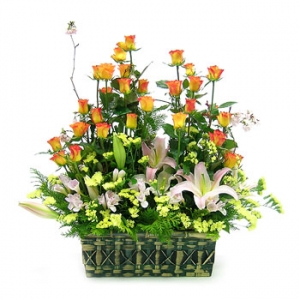 »ó¼¼³»¿ëº¸±â