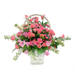 »ó¼¼³»¿ëº¸±â