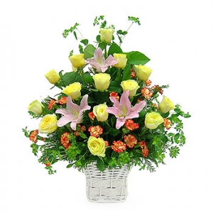 �󼼳��뺸��