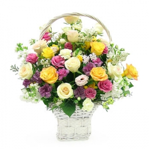 �󼼳��뺸��