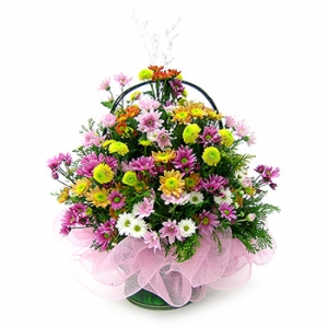 »ó¼¼³»¿ëº¸±â