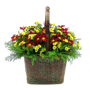 �󼼳��뺸��