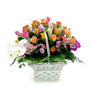 �󼼳��뺸��