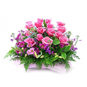 �󼼳��뺸��