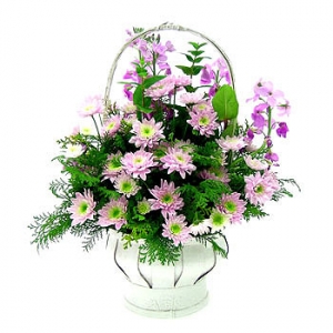 »ó¼¼³»¿ëº¸±â