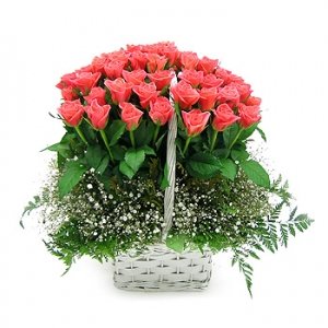 �󼼳��뺸��