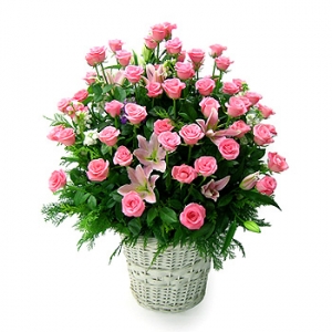 »ó¼¼³»¿ëº¸±â