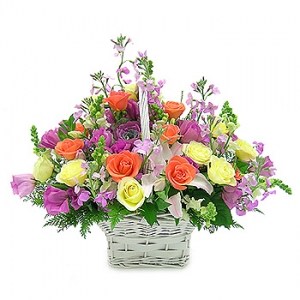 �󼼳��뺸��