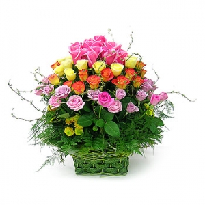 �󼼳��뺸��