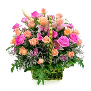 �󼼳��뺸��