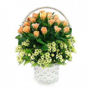 �󼼳��뺸��