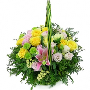 �󼼳��뺸��