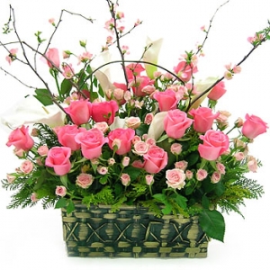 �󼼳��뺸��