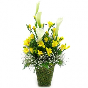 �󼼳��뺸��