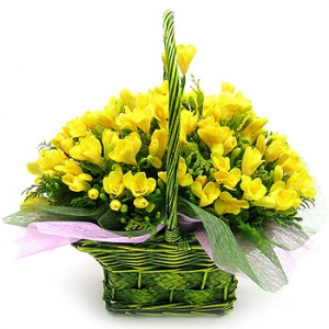 �󼼳��뺸��