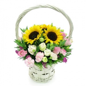 �󼼳��뺸��