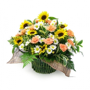 »ó¼¼³»¿ëº¸±â