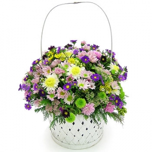 »ó¼¼³»¿ëº¸±â