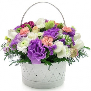 �󼼳��뺸��