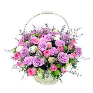 �󼼳��뺸��