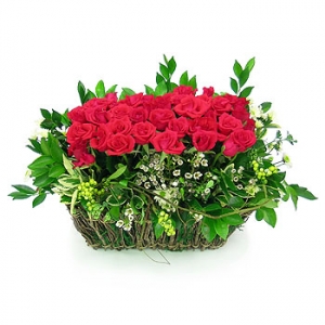 »ó¼¼³»¿ëº¸±â