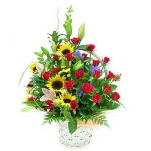 �󼼳��뺸��