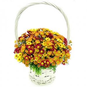 �󼼳��뺸��