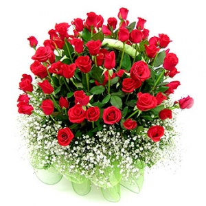 �󼼳��뺸��