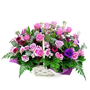 »ó¼¼³»¿ëº¸±â