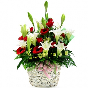 �󼼳��뺸��