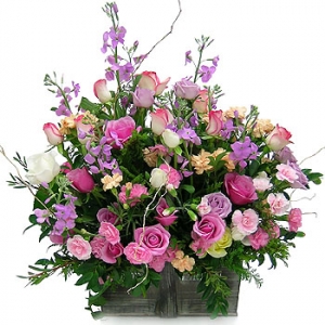 �󼼳��뺸��