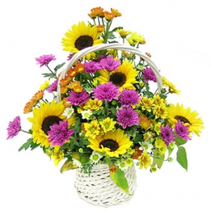 �󼼳��뺸��