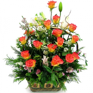 �󼼳��뺸��