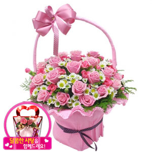 »ó¼¼³»¿ëº¸±â