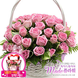 �󼼳��뺸��