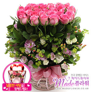 �󼼳��뺸��