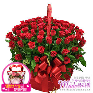 »ó¼¼³»¿ëº¸±â