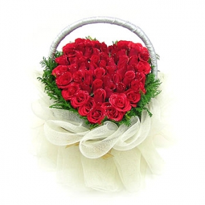 �󼼳��뺸��