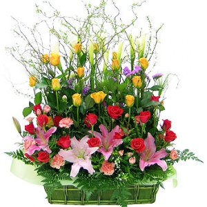 »ó¼¼³»¿ëº¸±â