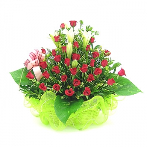 �󼼳��뺸��