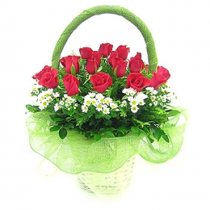 �󼼳��뺸��