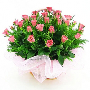 »ó¼¼³»¿ëº¸±â