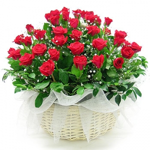 »ó¼¼³»¿ëº¸±â