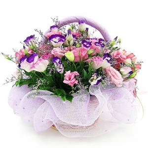 �󼼳��뺸��