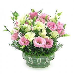 �󼼳��뺸��