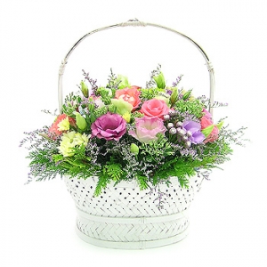 �󼼳��뺸��